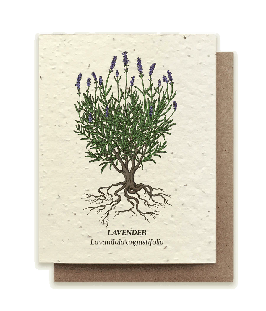 Seed Card (Drop down more!)
