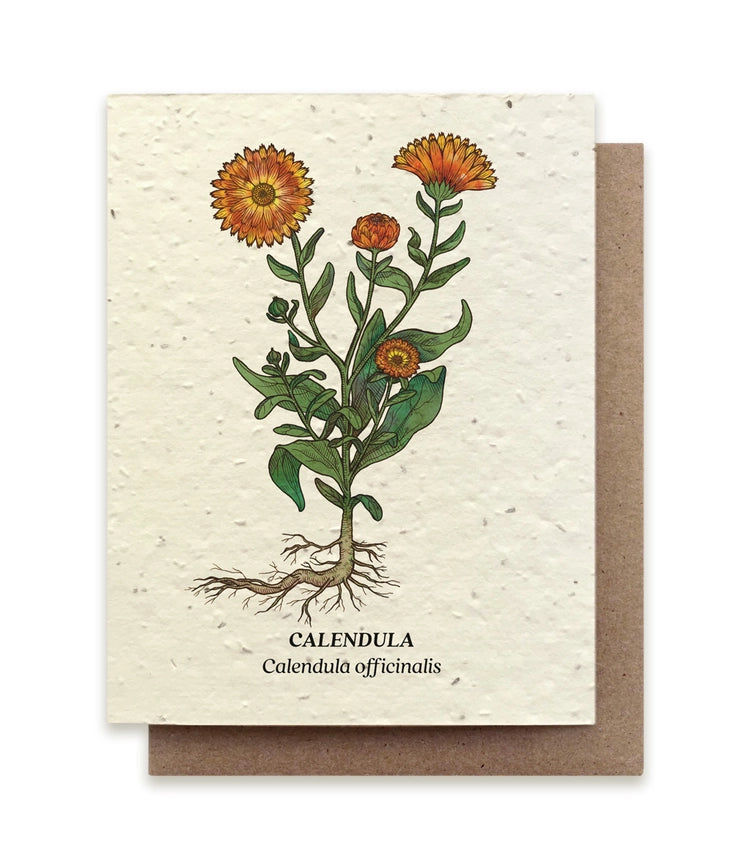 Seed Card (Drop down more!)