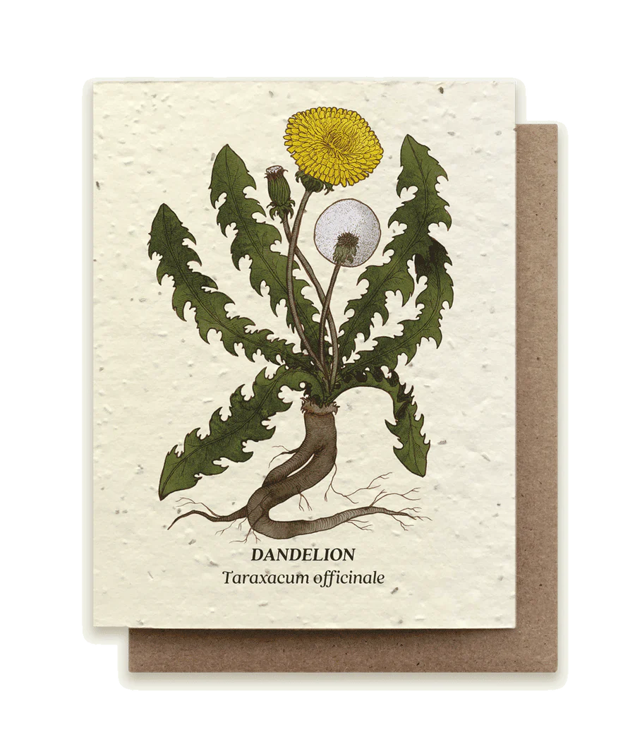 Seed Card (Drop down more!)