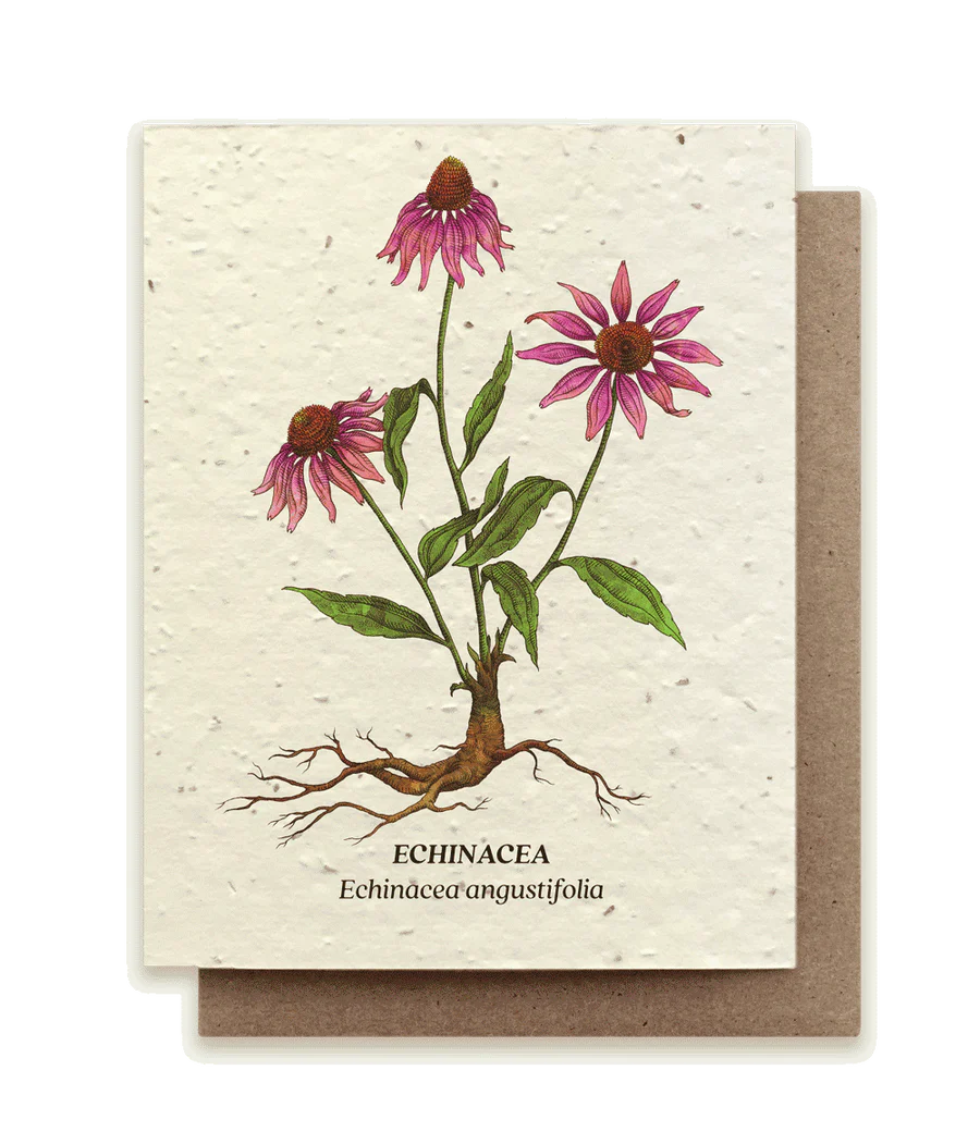 Seed Card (Drop down more!)