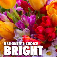 Designer’s Choice Bright Vase Arrangement