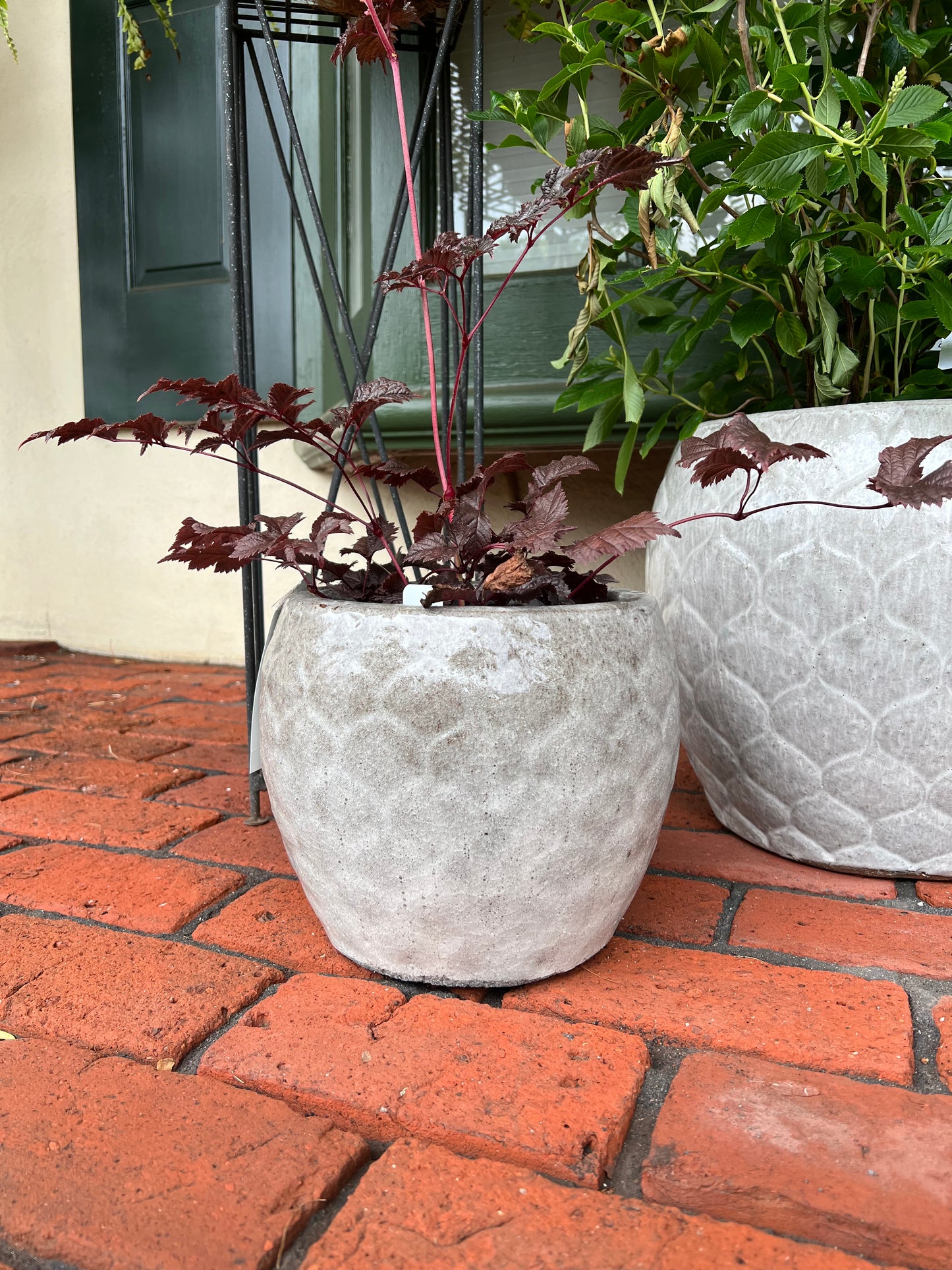 Pina Planter - Small